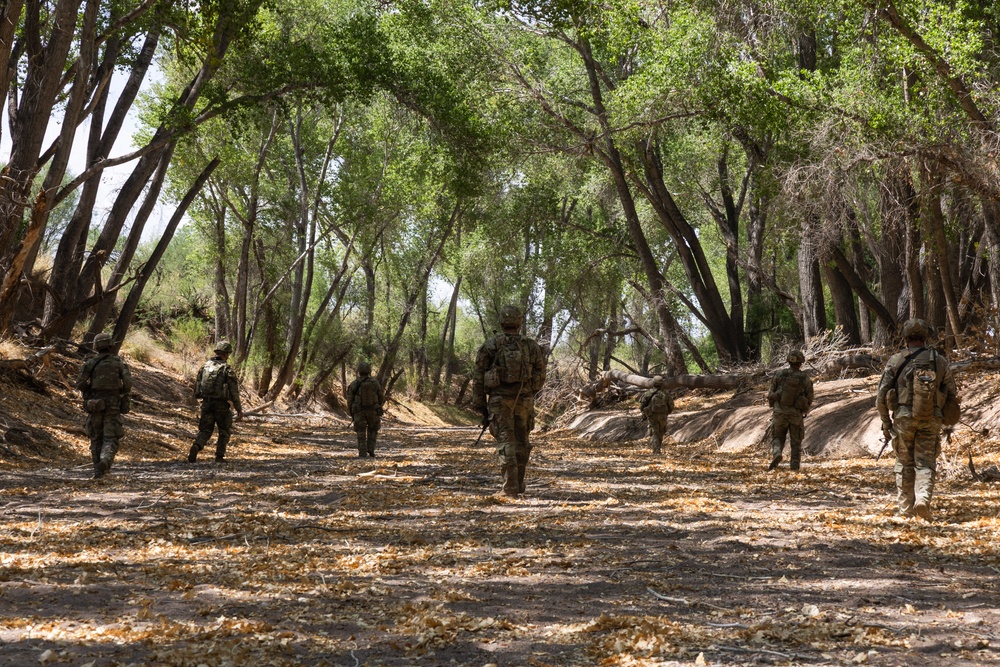 2nd Battalion, 12th Infantry Regiment conducts a patrol to support southern border mission
