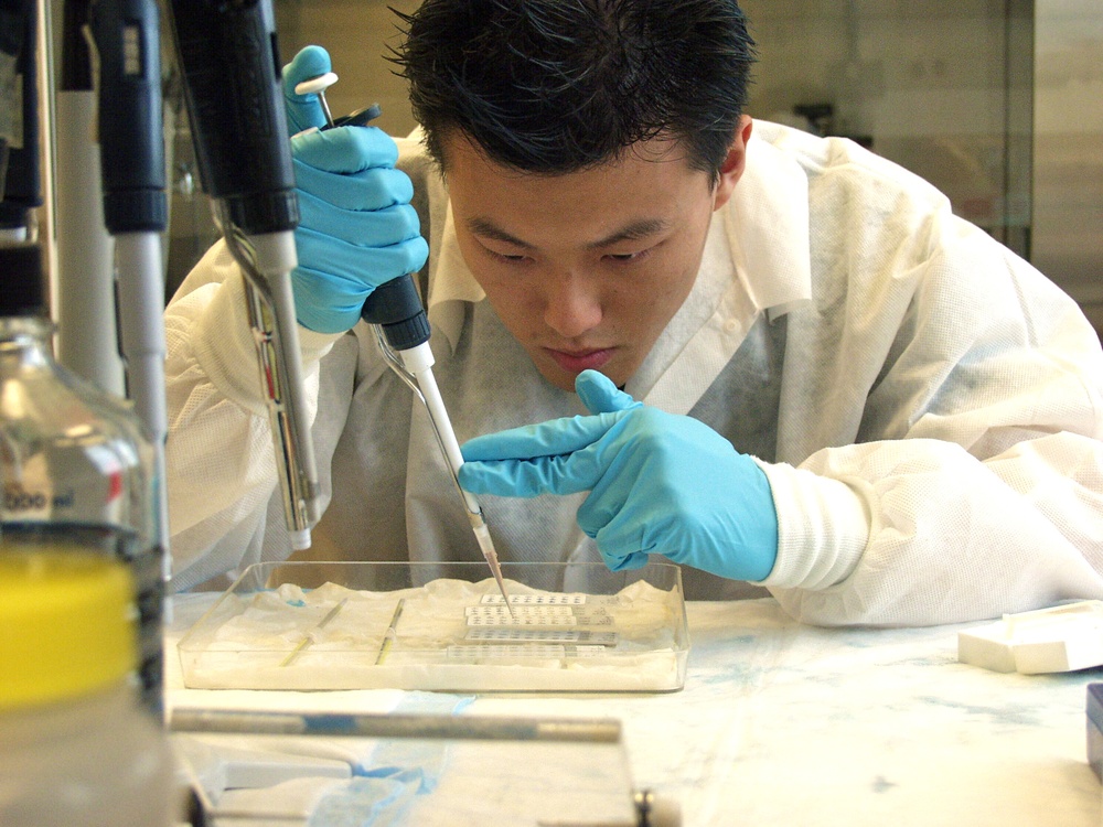 U.S. Military HIV Research Program Scientist at Work