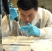U.S. Military HIV Research Program Scientist at Work