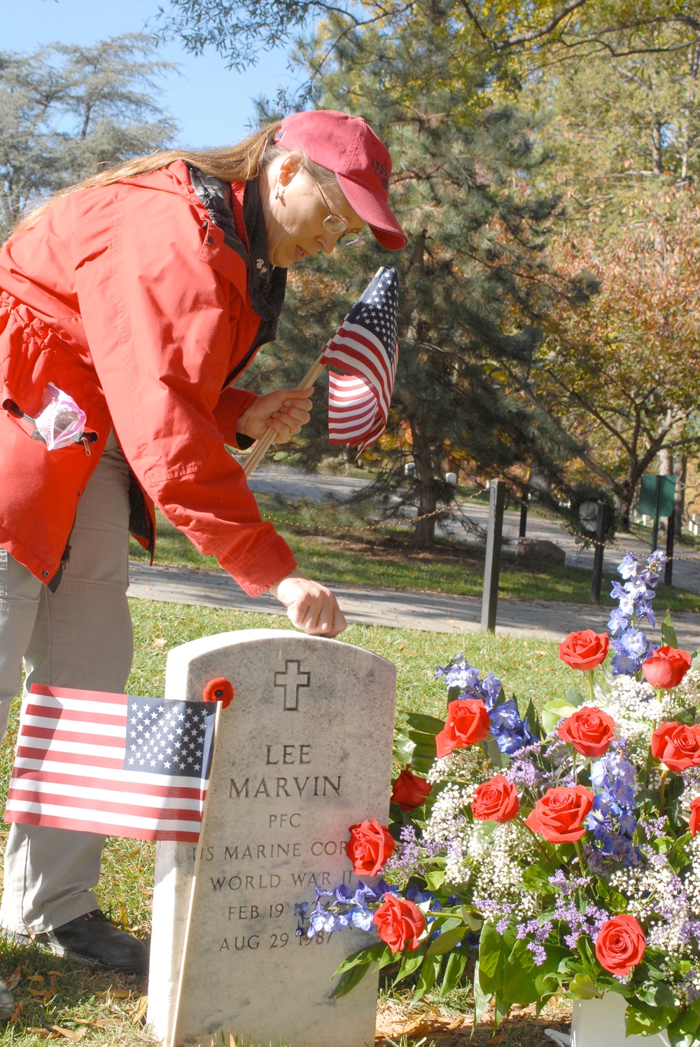 Honoring the Fallen: Woman Places Flag at Arlington National Cemetery on Veterans Day