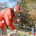 Honoring the Fallen: Woman Places Flag at Arlington National Cemetery on Veterans Day