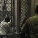 Sailor Stands Guard Over Detainees Reading in Guantanamo Bay Camp 6