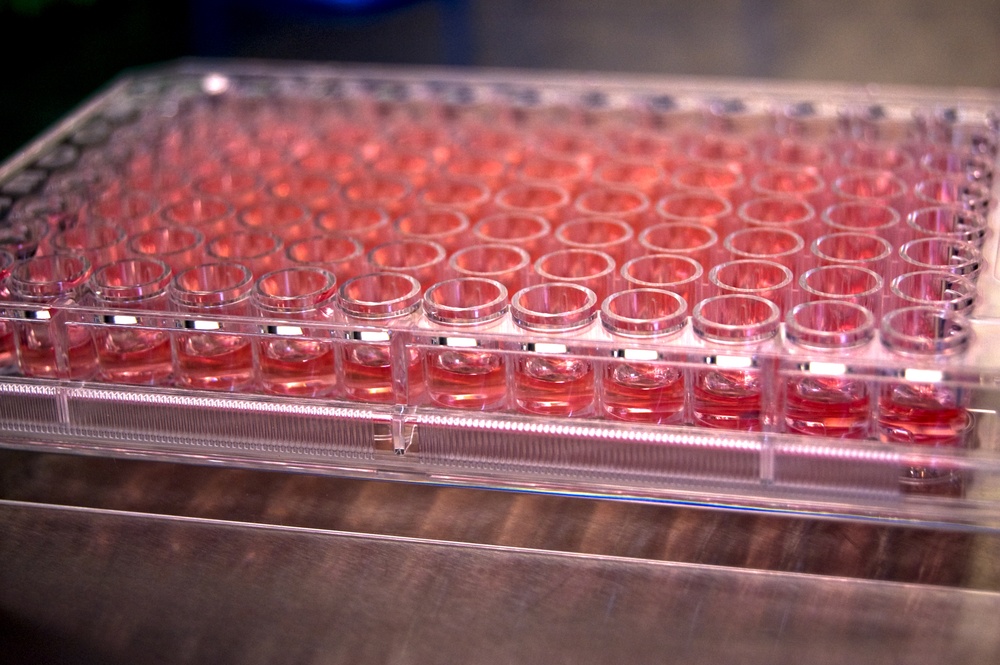 MIMIC System Revolutionizes Clinical Trials, Protects Human Subjects
