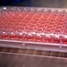 MIMIC System Revolutionizes Clinical Trials, Protects Human Subjects