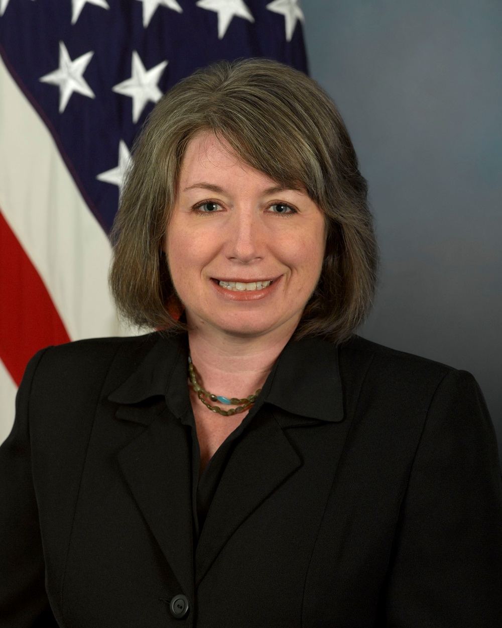 New Pentagon Official Aims to Reduce Energy Needs, Risks in War Zones