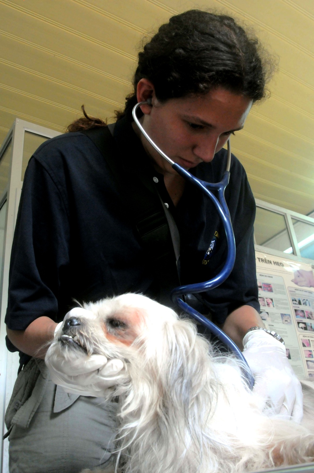 Veterinarian Student Provides Care for Dog in Vietnam During Pacific Partnership 2010