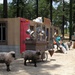 Realistic Afghan Villages Prepare Troops for Deployment at Fort Polk