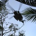 Airborne Division Uses Country Club as Forward Operating Base