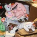 Marine Spouses Collect Over 70,000 Beanie Babies for Afghan Children