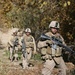 Marines Patrol Orchard in Afghanistan, Support Afghan Security Forces