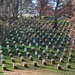 Volunteers Honor Fallen Servicemembers with Wreaths at Arlington National Cemetery