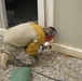Army Welder Constructs New Dining Facility in Iraq