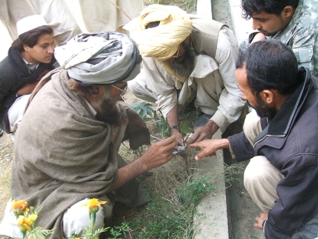 Afghan Farmers Participate in Agricultural Training in Bermel