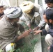 Afghan Farmers Participate in Agricultural Training in Bermel