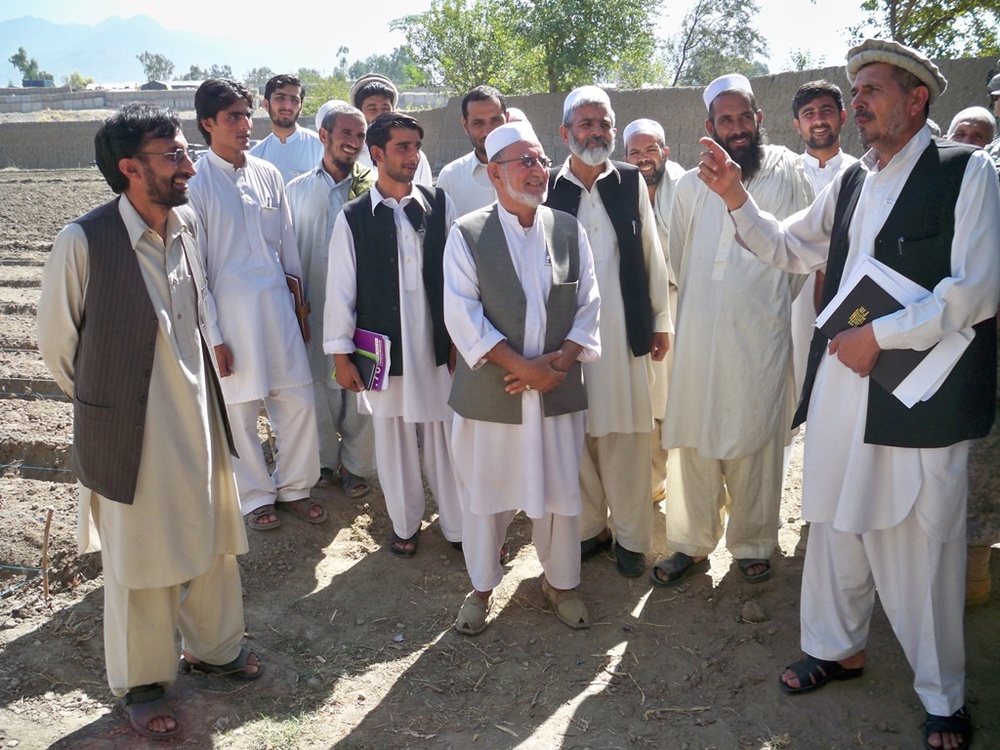Afghan Farmers Encouraged to Grow Saffron