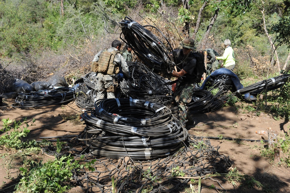 National Guard Uncovers Illegal Marijuana Operation in California