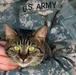 Nonprofit Provides Foster Care for Pets of Deploying Servicemembers