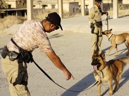 Iraqi Police Dog Handler Trains with U.S. Forces in Iraq