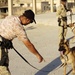 Iraqi Police Dog Handler Trains with U.S. Forces in Iraq