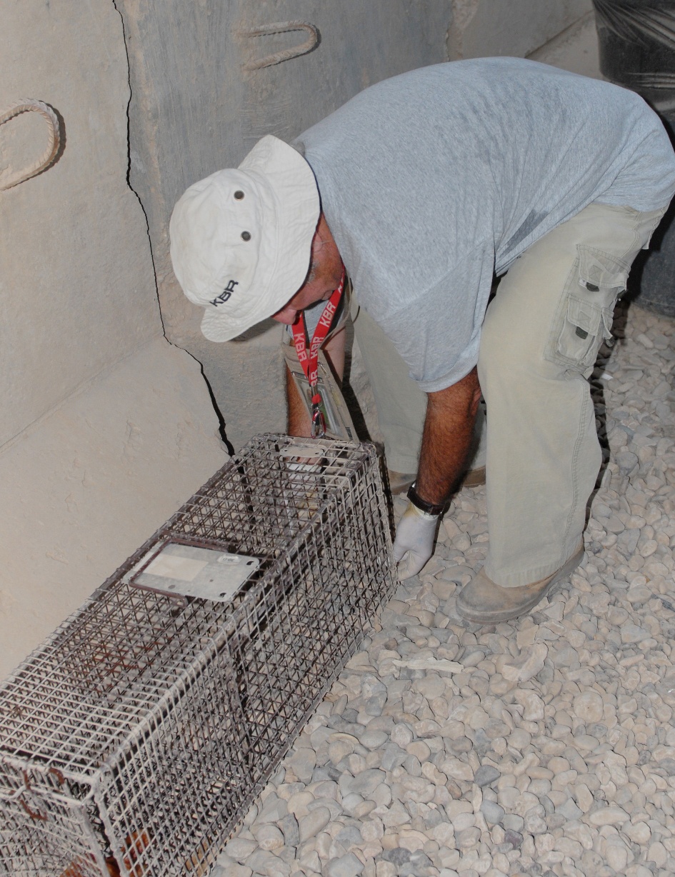 Contracted Worker Sets Animal Traps at Forward Operating Base in Iraq