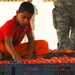 Iraqi Boy Sorts Tomatoes at Newly Opened Farmers' Market in Mahawil
