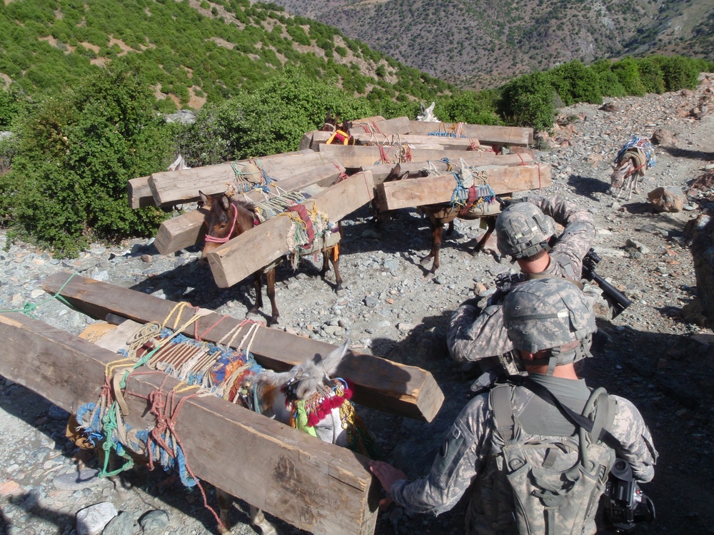 Soldiers Intercept Illegal Timber Smuggling in Afghanistan's Konar Province