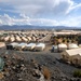 NATO Forces Headquartered at Forward Operating Base Salerno in Afghanistan