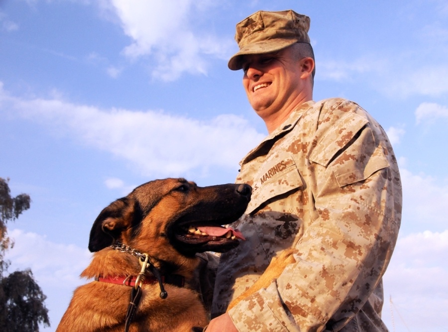 Marine Gunnery Sgt. and Military Working Dog Handler Share Emotional Reunion in Iraq