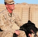 Marine Sgt. Posha and Handler Cpl. Soutra Demonstrate Explosive Detection Training in Iraq