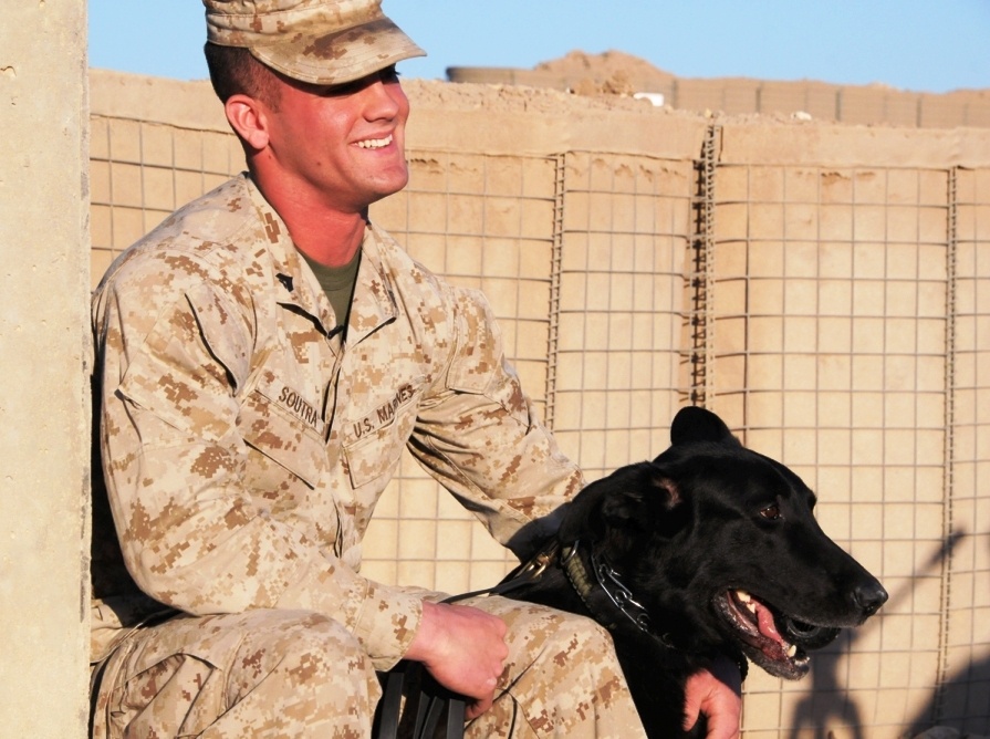 Marine Sgt. Posha and Handler Cpl. Soutra Demonstrate Explosive Detection Training in Iraq