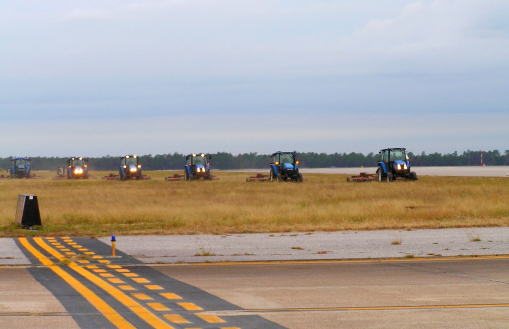 Tall Grass Helps Deter Birds Near Runways at Eglin Air Force Base