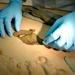 Lab Helps Identify Fallen Servicemembers Through Fabric Analysis
