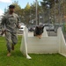 Army Dog Handler Trains Military Working Dog at Stuttgart Garrison