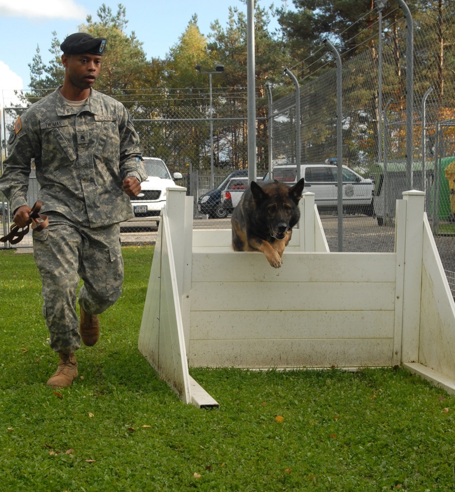 Army Dog Handler Trains Military Working Dog at Stuttgart Garrison