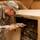 Soldier Performs Routine Maintenance on Power Supply in Iraq