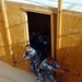 Iraqi Police Train on Building Entry and Room Clearing Tactics