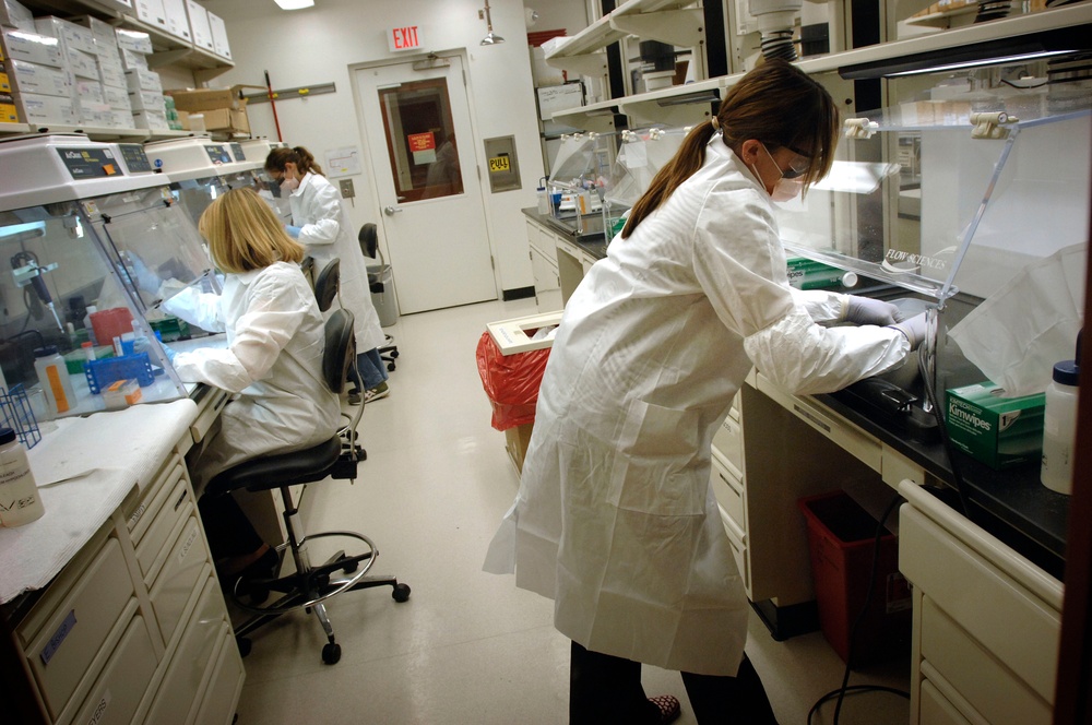 Mitochondrial DNA Analysts Prepare Samples for Ancient DNA Testing