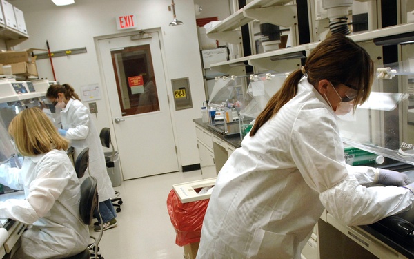 Mitochondrial DNA Analysts Prepare Samples for Ancient DNA Testing