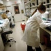 Mitochondrial DNA Analysts Prepare Samples for Ancient DNA Testing
