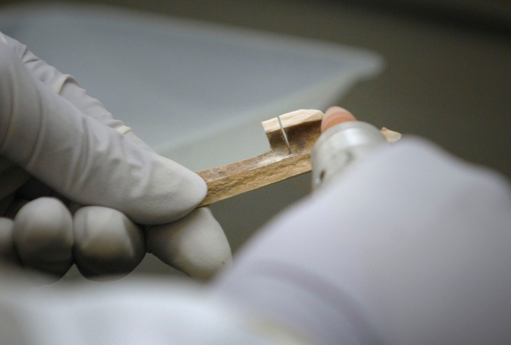 Mitochondrial DNA Analysis Aids in Identifying Missing Troops
