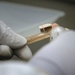 Mitochondrial DNA Analysis Aids in Identifying Missing Troops