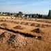 Remains of Missing WWII Pilot Recovered in German Wheat Field