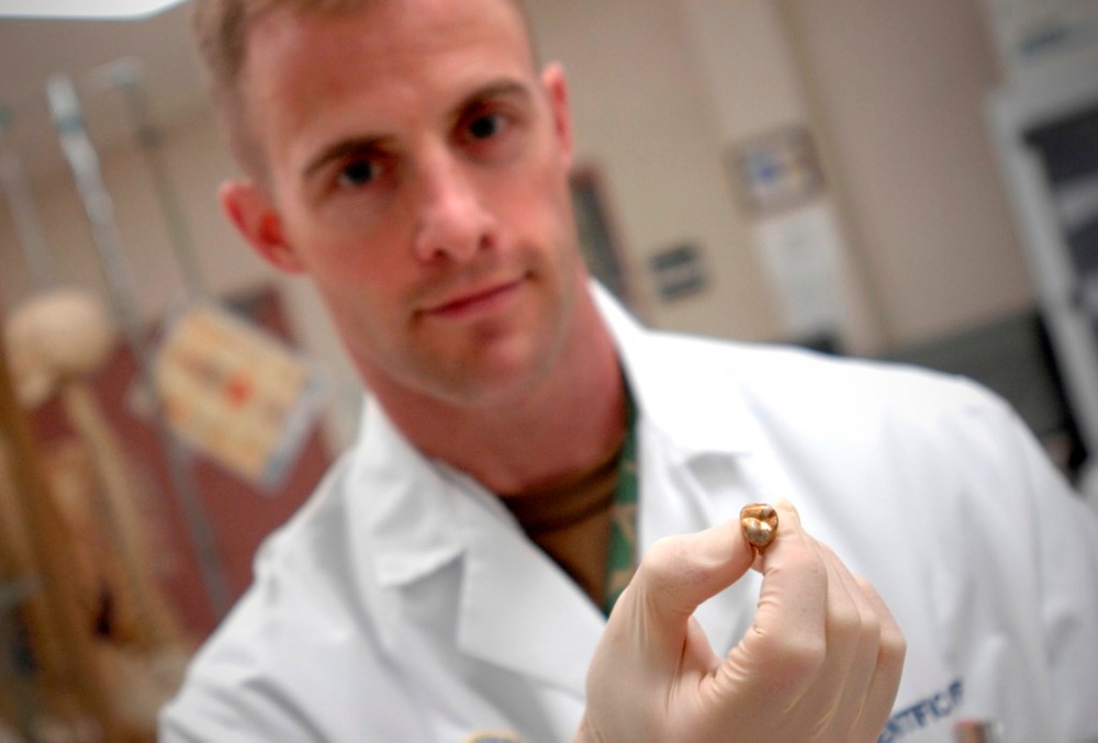 Dental Remains Provide Key Evidence in Identifying Missing Servicemembers