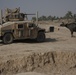Domestic Water Buffalo Approaches U.S. Soldiers' Humvee in New Baghdad