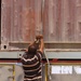 Iraqi Logistics Network Driver Secures Load at Camp Liberty