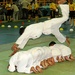 Iraqi Child Showcases Martial Arts Skills at Gym Reopening in Baghdad