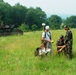 Pennsylvania National Guard Monitors Regal Fritillary Butterfly Habitat