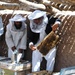Afghan Instructor Teaches Farmers Bee Removal Techniques at Herat Agricultural Station