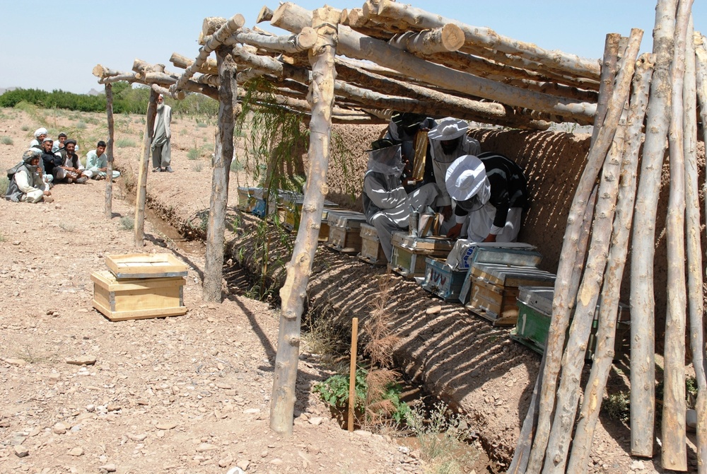 Afghan Beekeeping Students Learn Honey Extraction Techniques