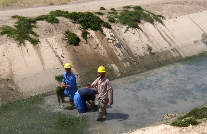 Students Volunteer to Clean Irrigation Canal in Iraq